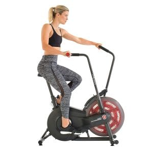schwinn ad2