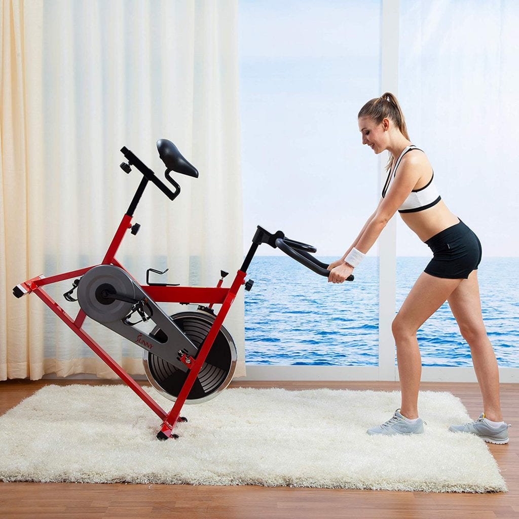 Sunny SFB1001 Indoor Cycling Bike Review
