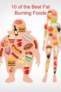 fat burning food