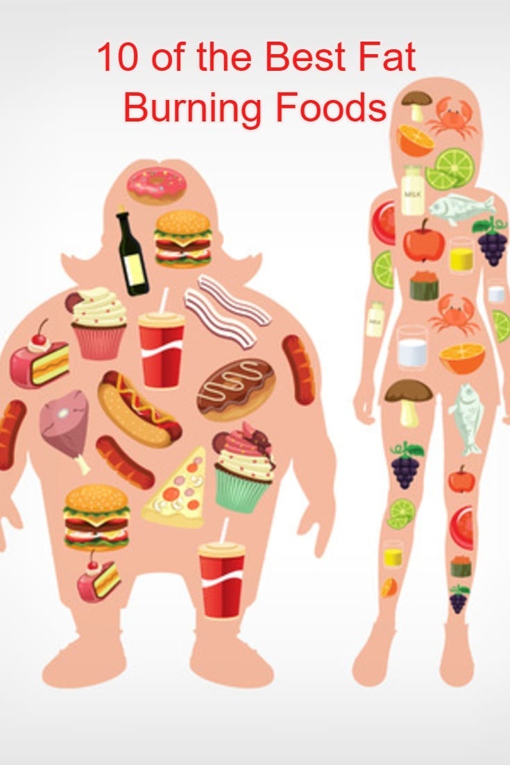 10 FatBurning Foods that Promote Effortless Fat Loss