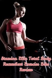 stamina elite total body recumbent exercise bike