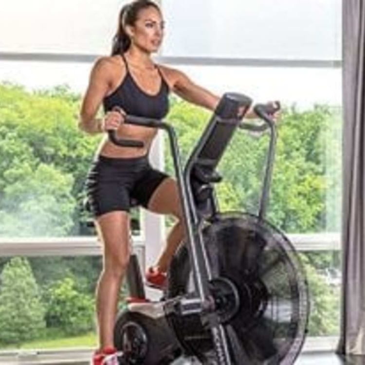 Schwinn Airdyne Pro Review Specs, Pros, Cons, and More!