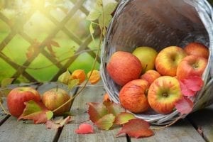 Bucket of apples and autumn leaves